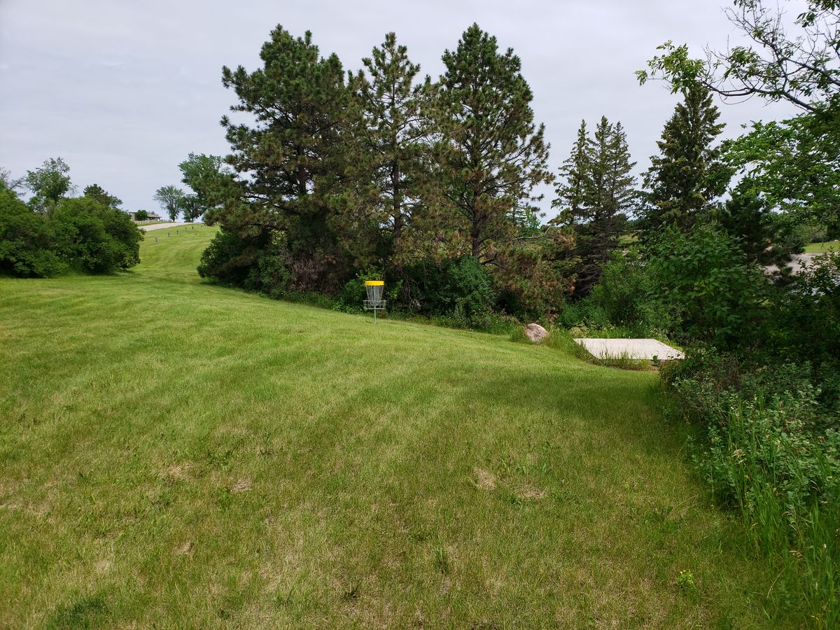 Hole 20 B pin
