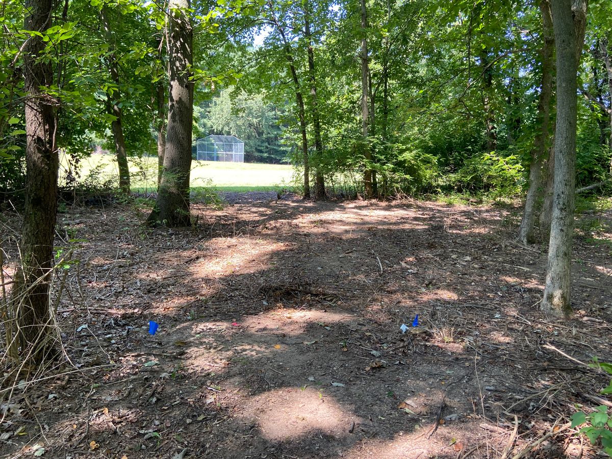 Hole 5 tee pad