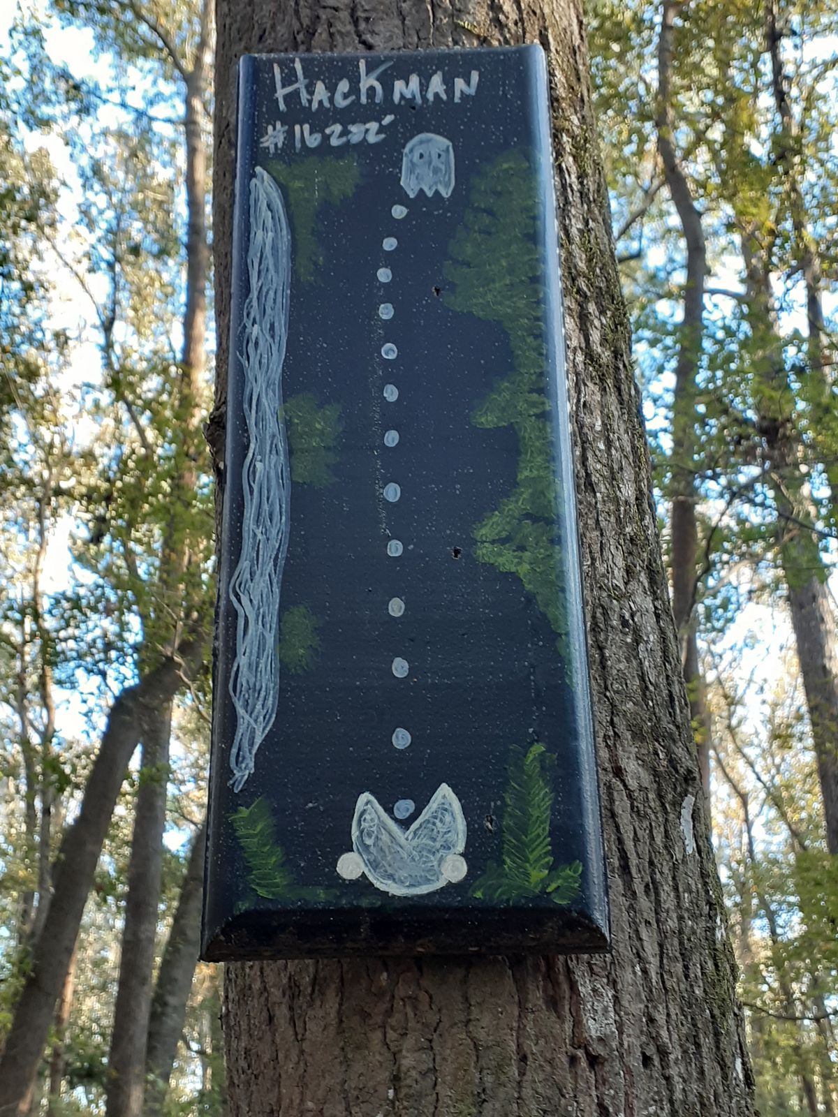 Hole #16, Hackman