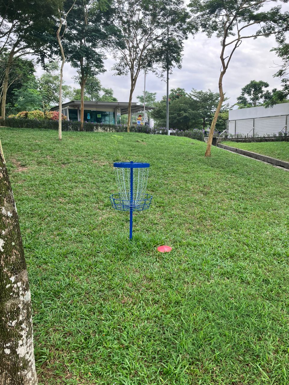 Hole 5 short hole guarded by the trees