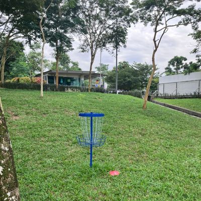 Hole 5 short hole guarded by the trees