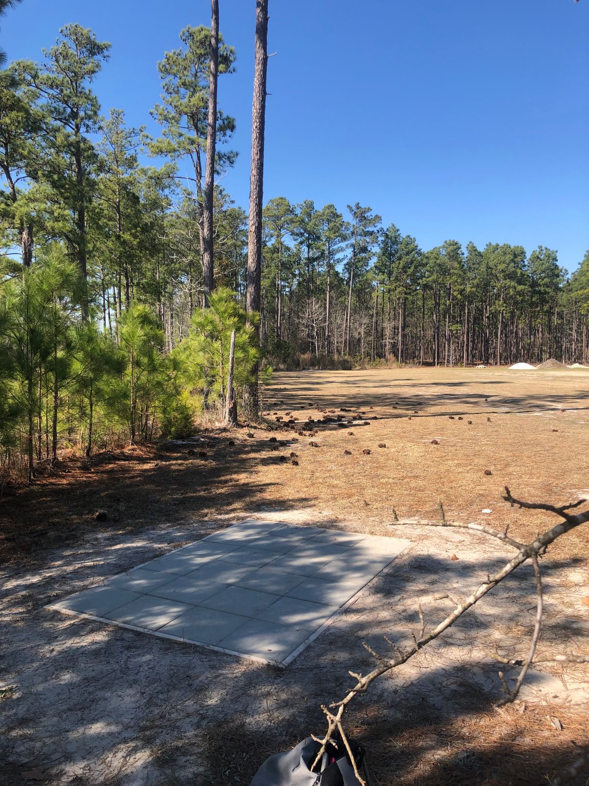 Hole 1. Basket to the left.