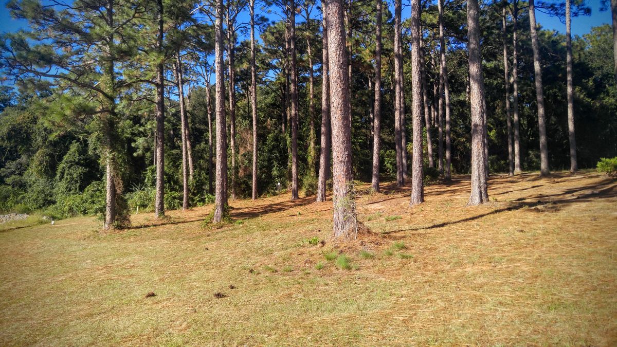 Relocated Hole 2 basket. A drainage pond is next to it and could have been incorporated as a water hazard in one of the holes.