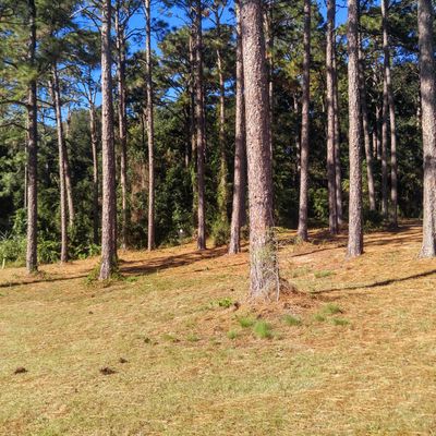Relocated Hole 2 basket. A drainage pond is next to it and could have been incorporated as a water hazard in one of the holes.