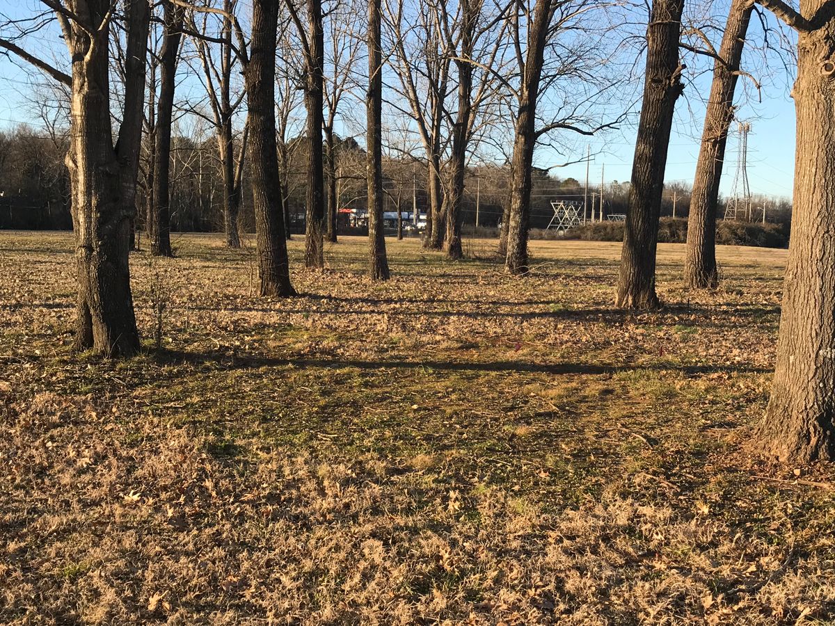 Hole 6 Blue Tee