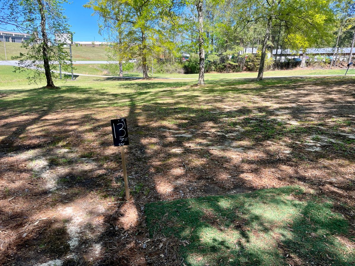 Hole 13 tee