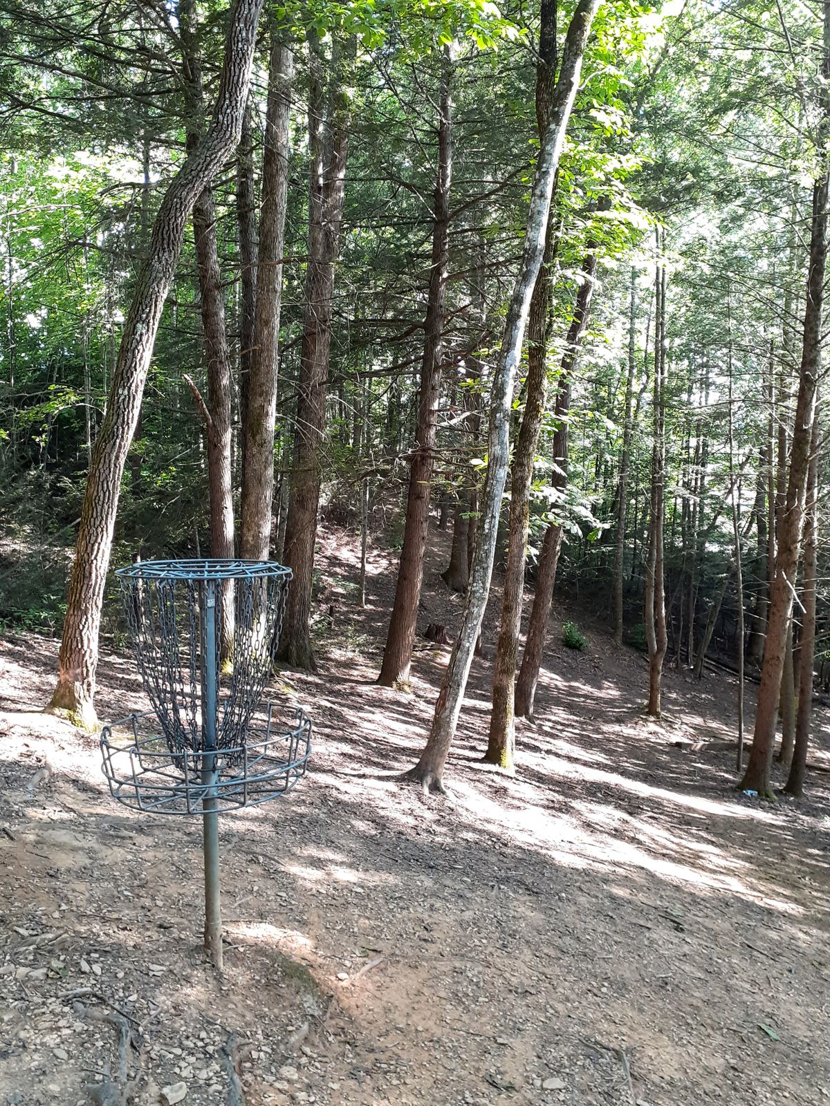 Hole 1 green