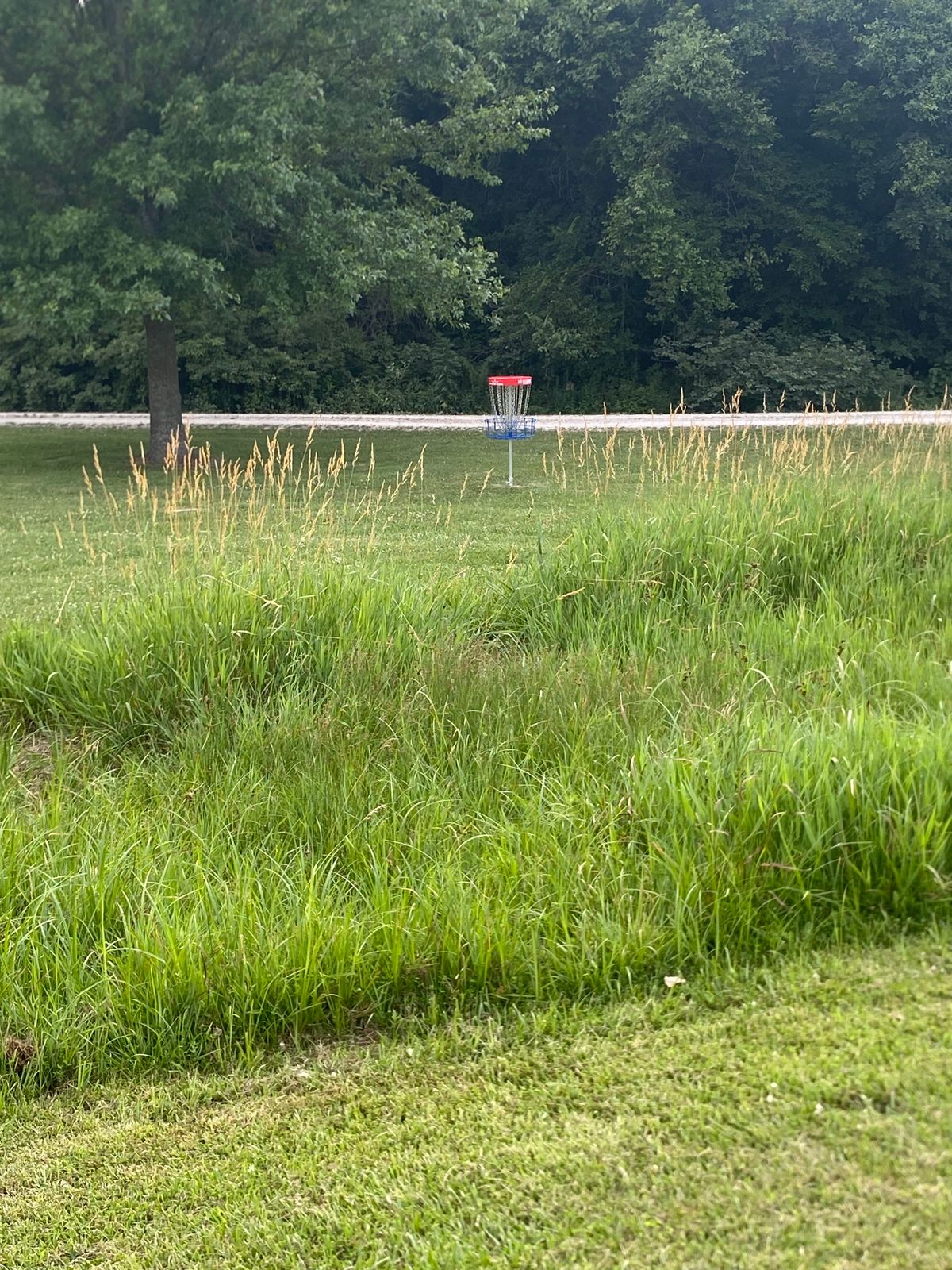 Hole #7 look of OB to B basket
