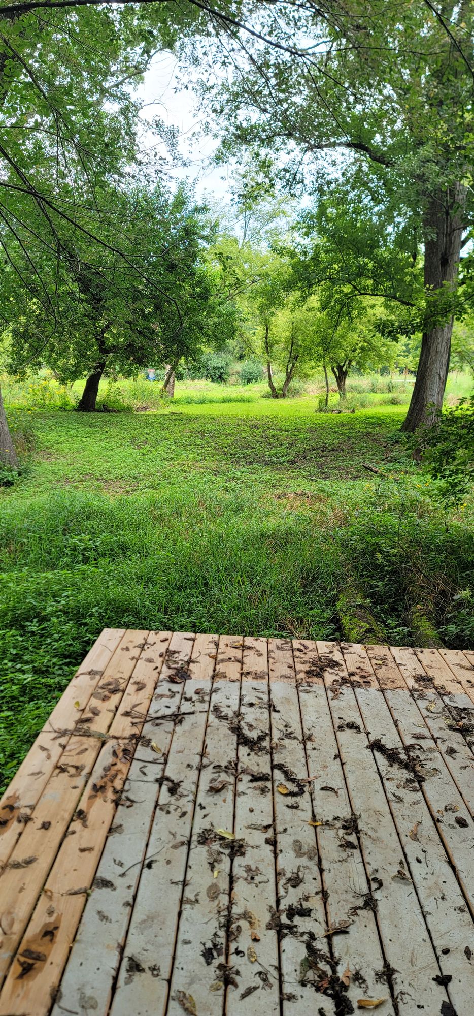 Hole 14