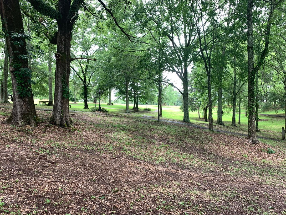 Hole 10, as you can see it is a nice wooded hole and the basket is top of the hill to the left