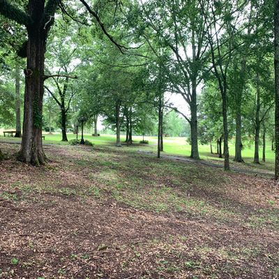 Hole 10, as you can see it is a nice wooded hole and the basket is top of the hill to the left