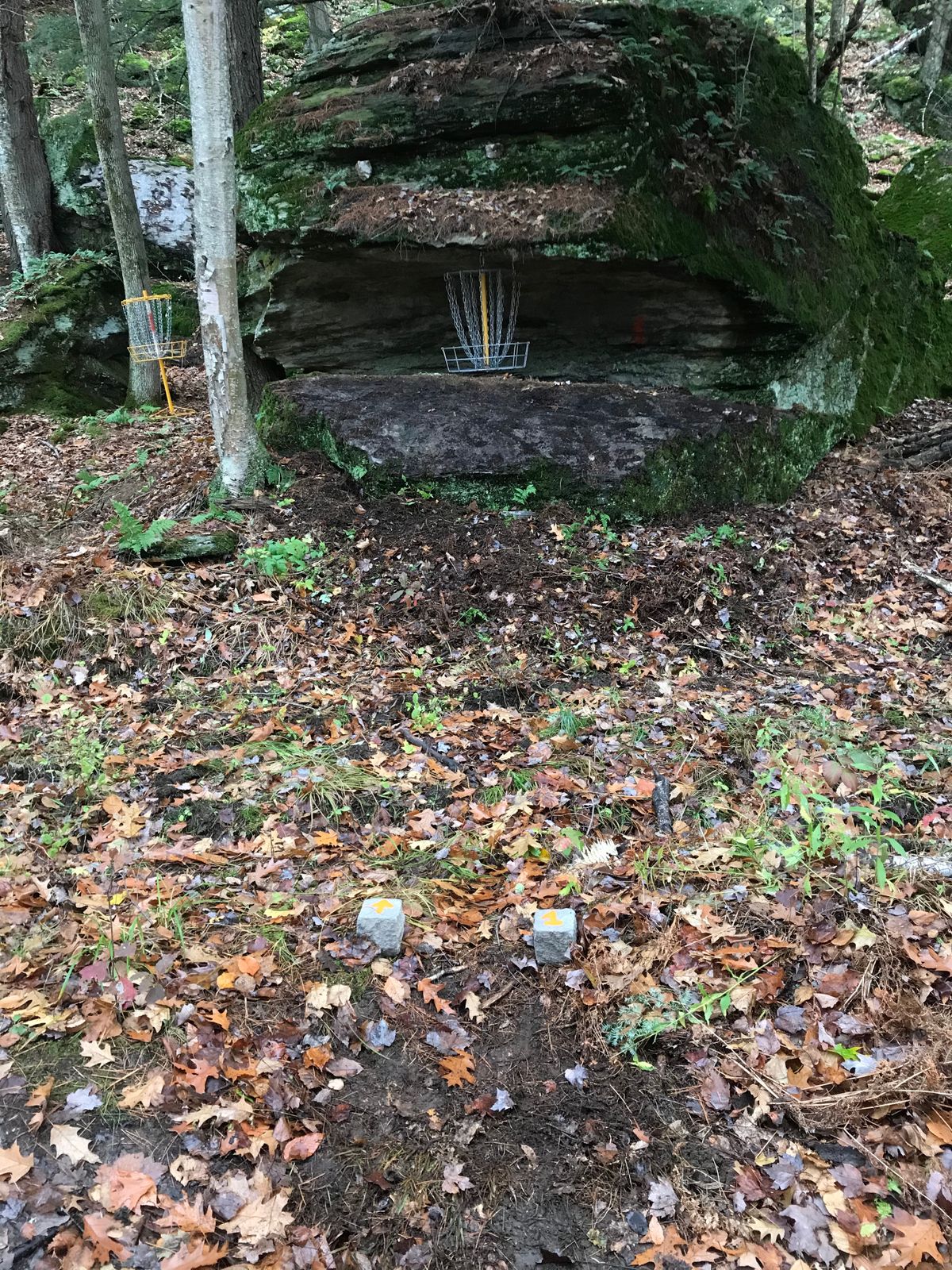 The Roc Monster Basin hole 1.