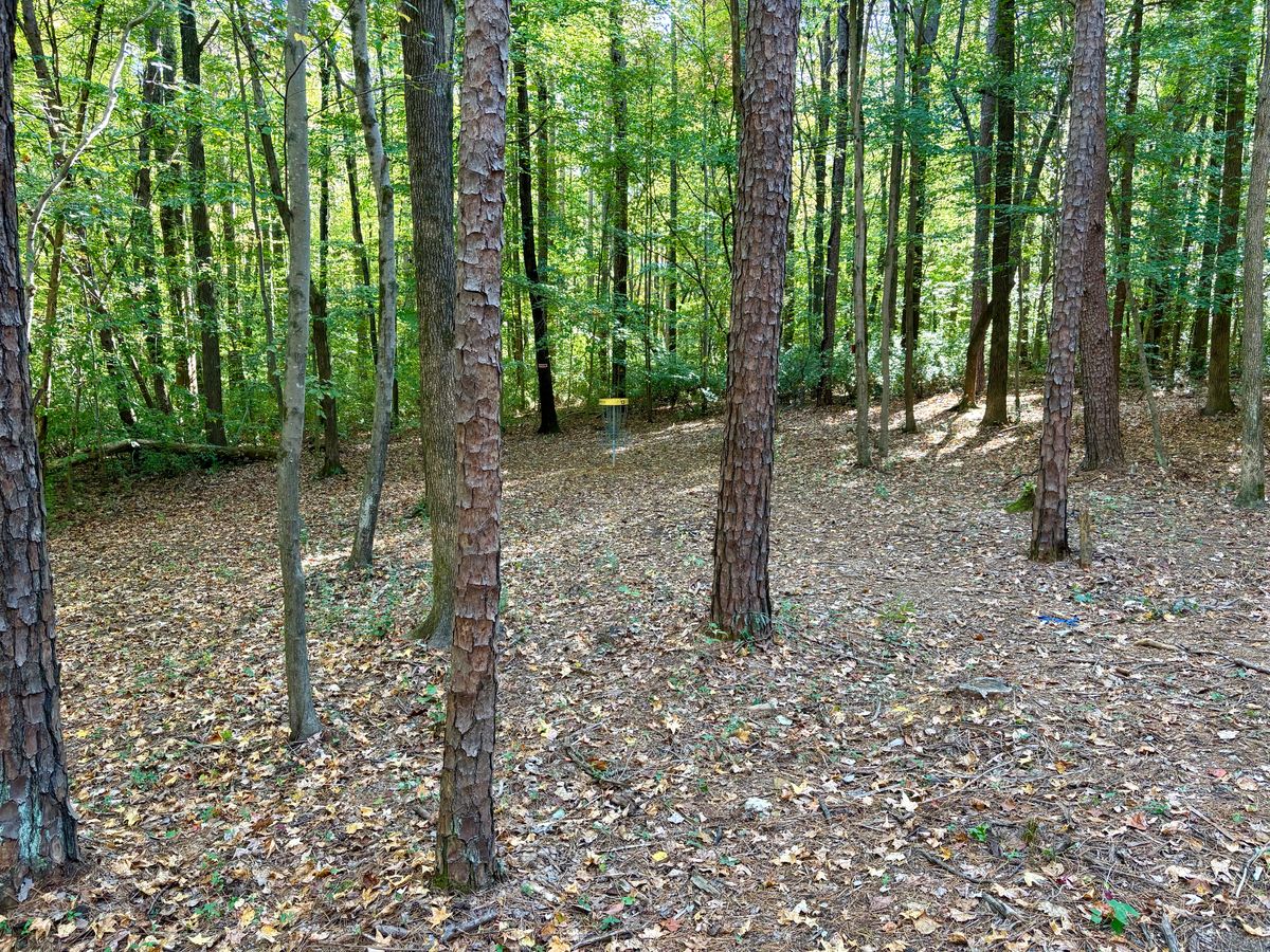 Hole 13 approach