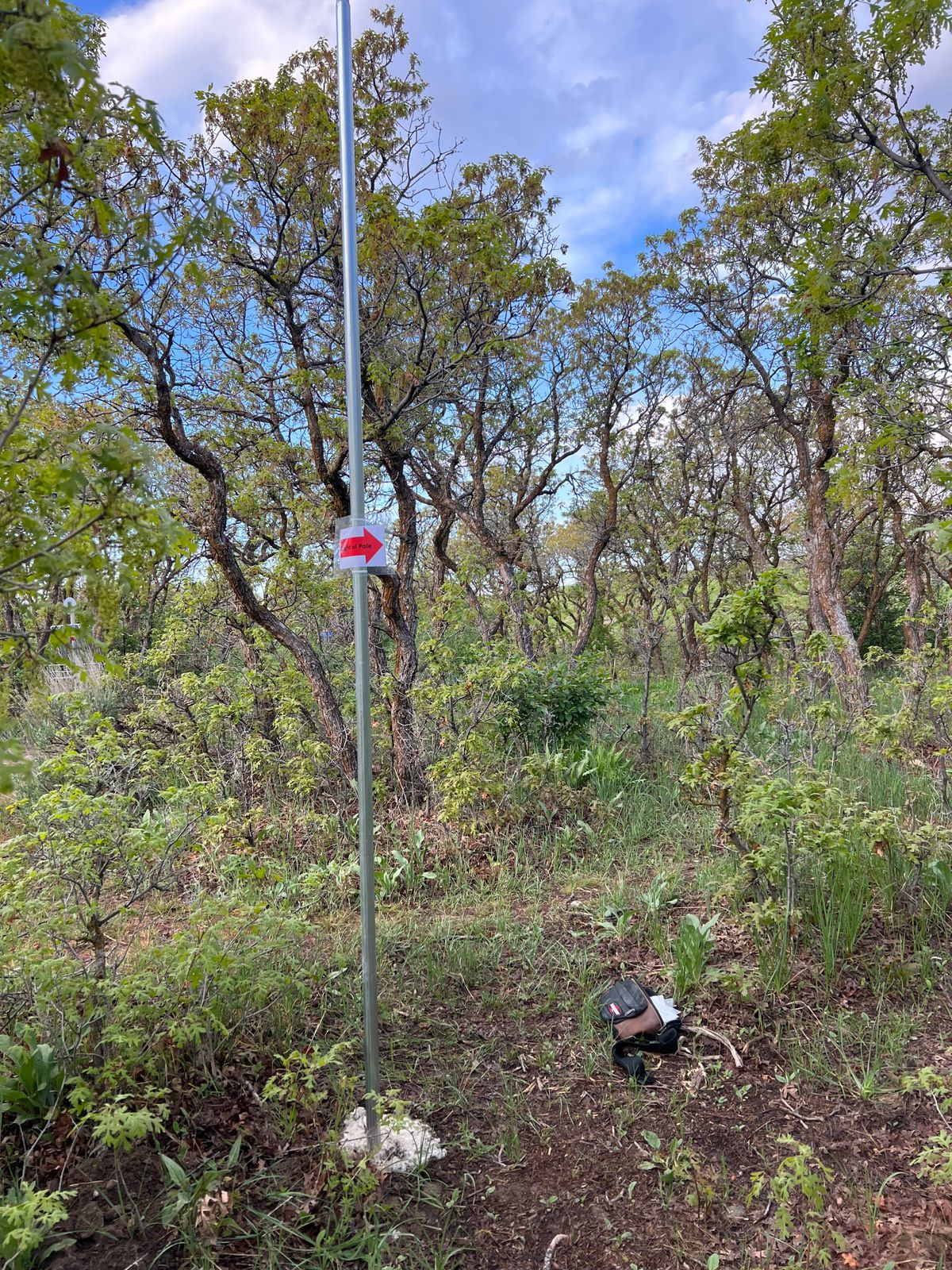 Mando to the right of the pole. Keeps you away from basket at 17. Penalty of one stroke if missed. Drop zone at pole.