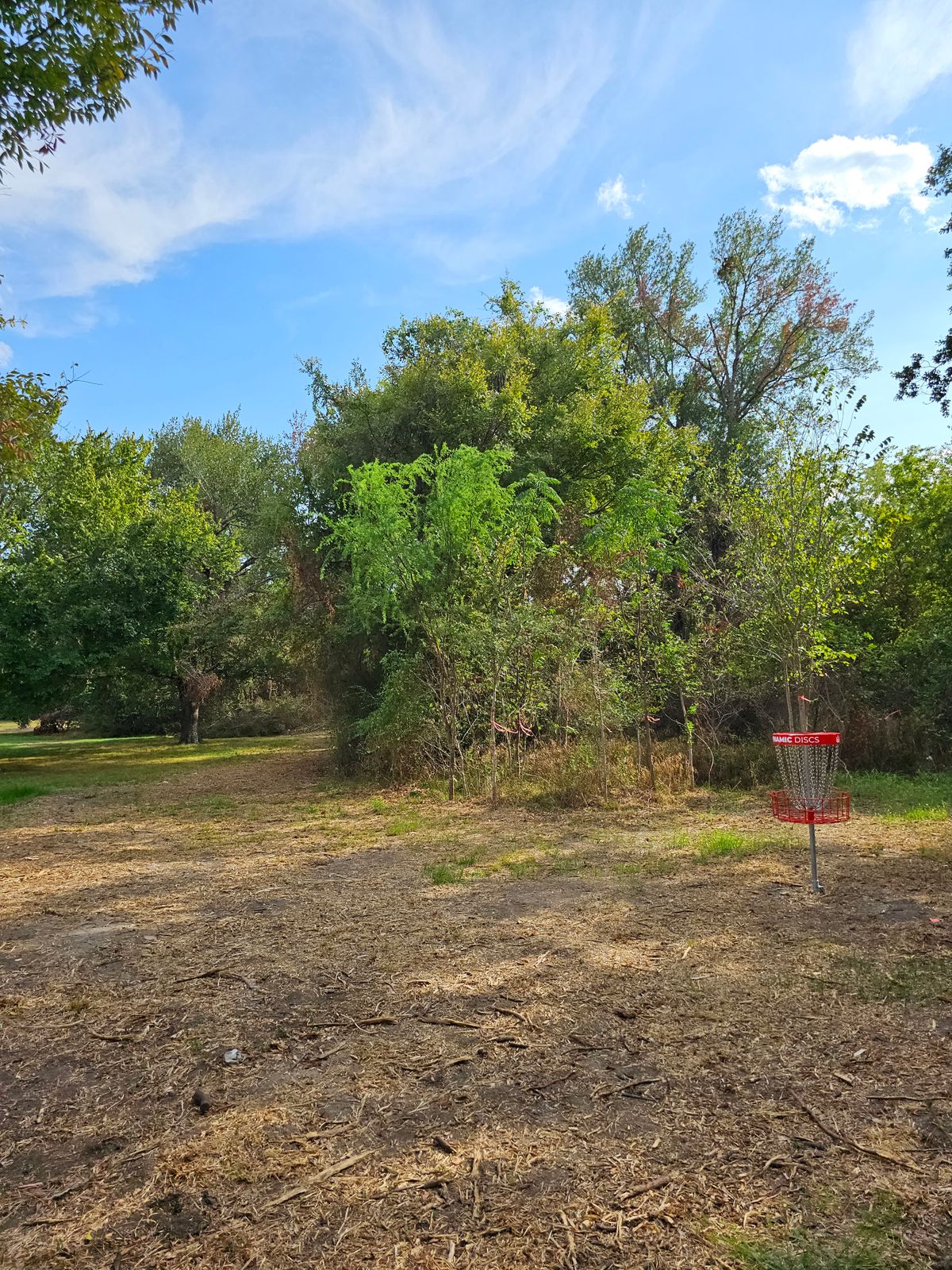 Hole 16 Backwards