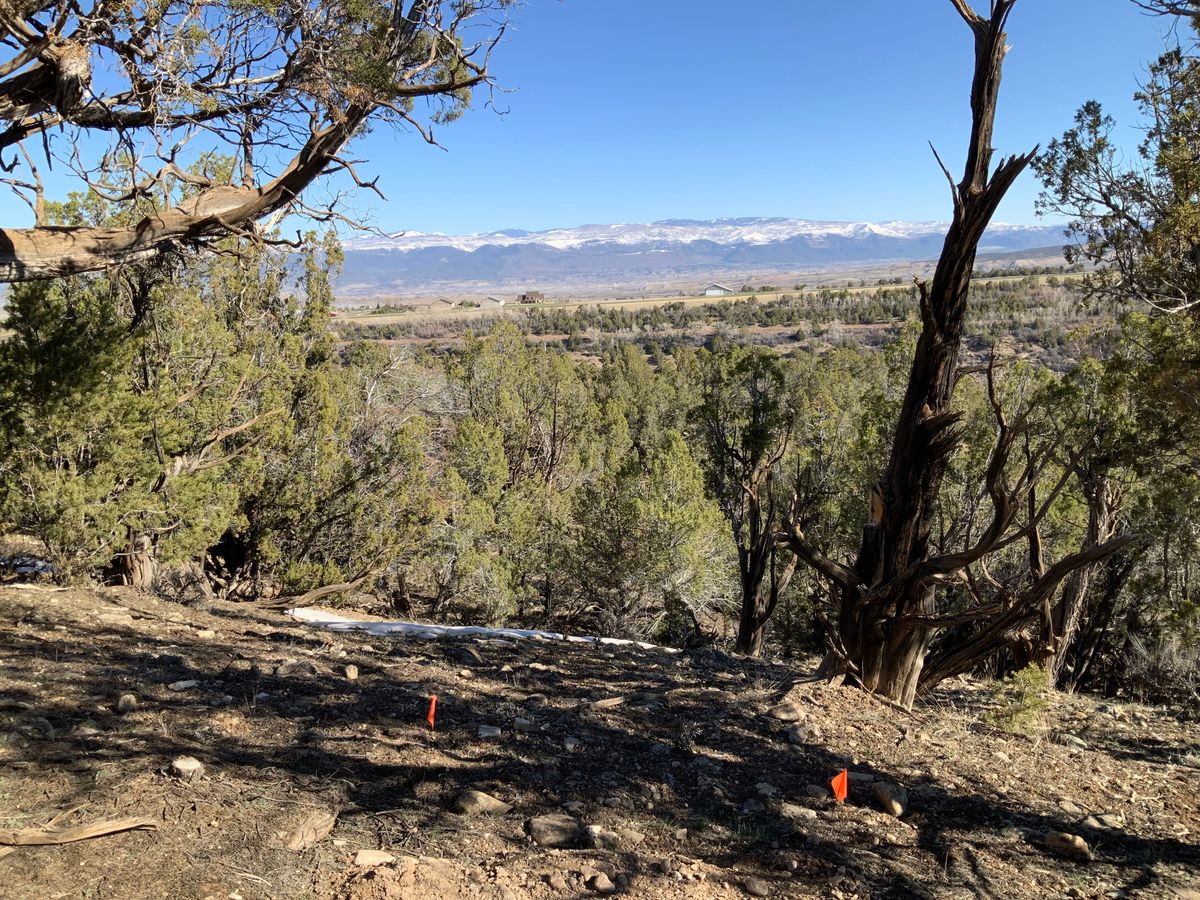 12 GRAND VIEW 250? 15 feet in front of pole down down