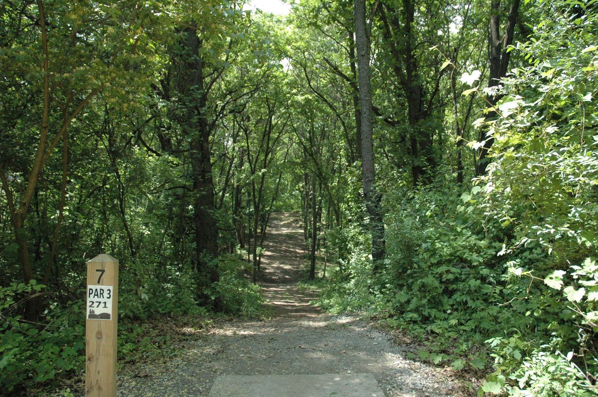Hole 7 Pro/Am tee pad. Basket dead ahead.