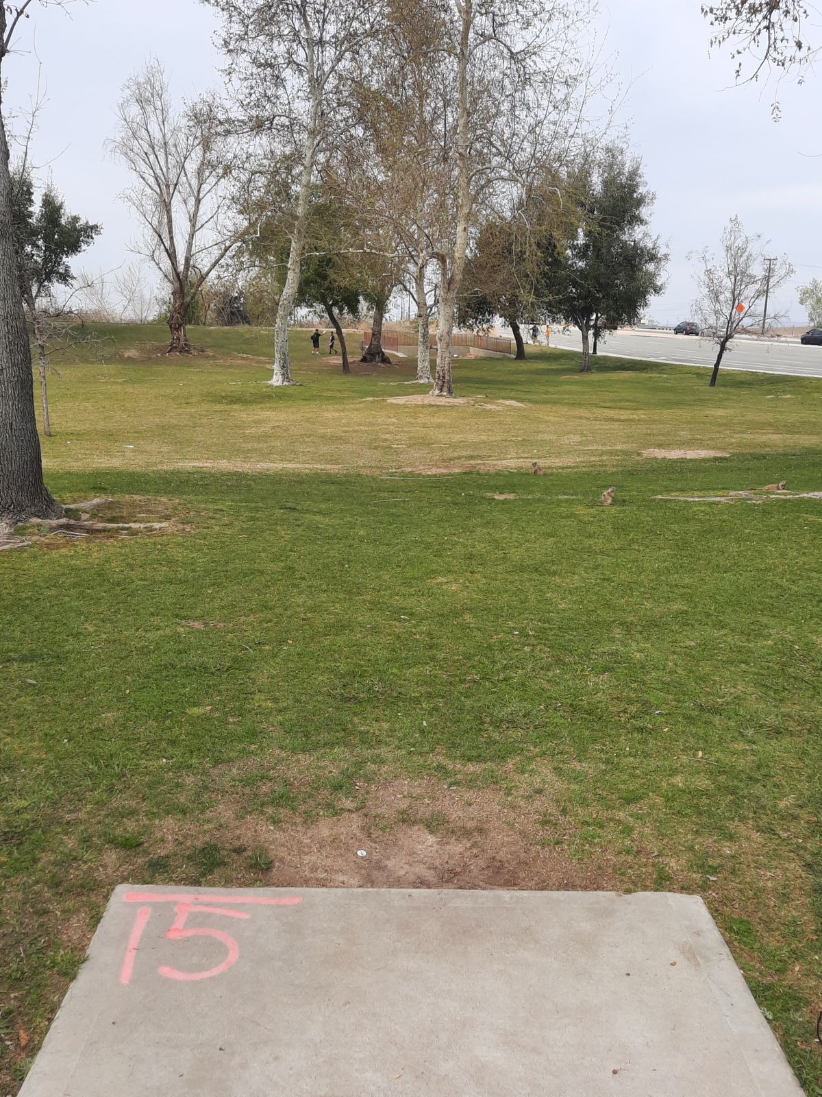 Hole 15 

I miss #16