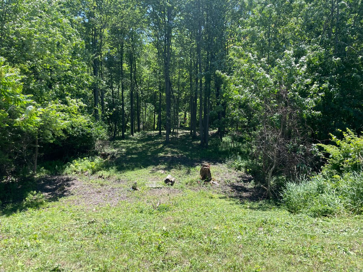 Hole 4 mid fairway.  Hard dog leg down towards basket.