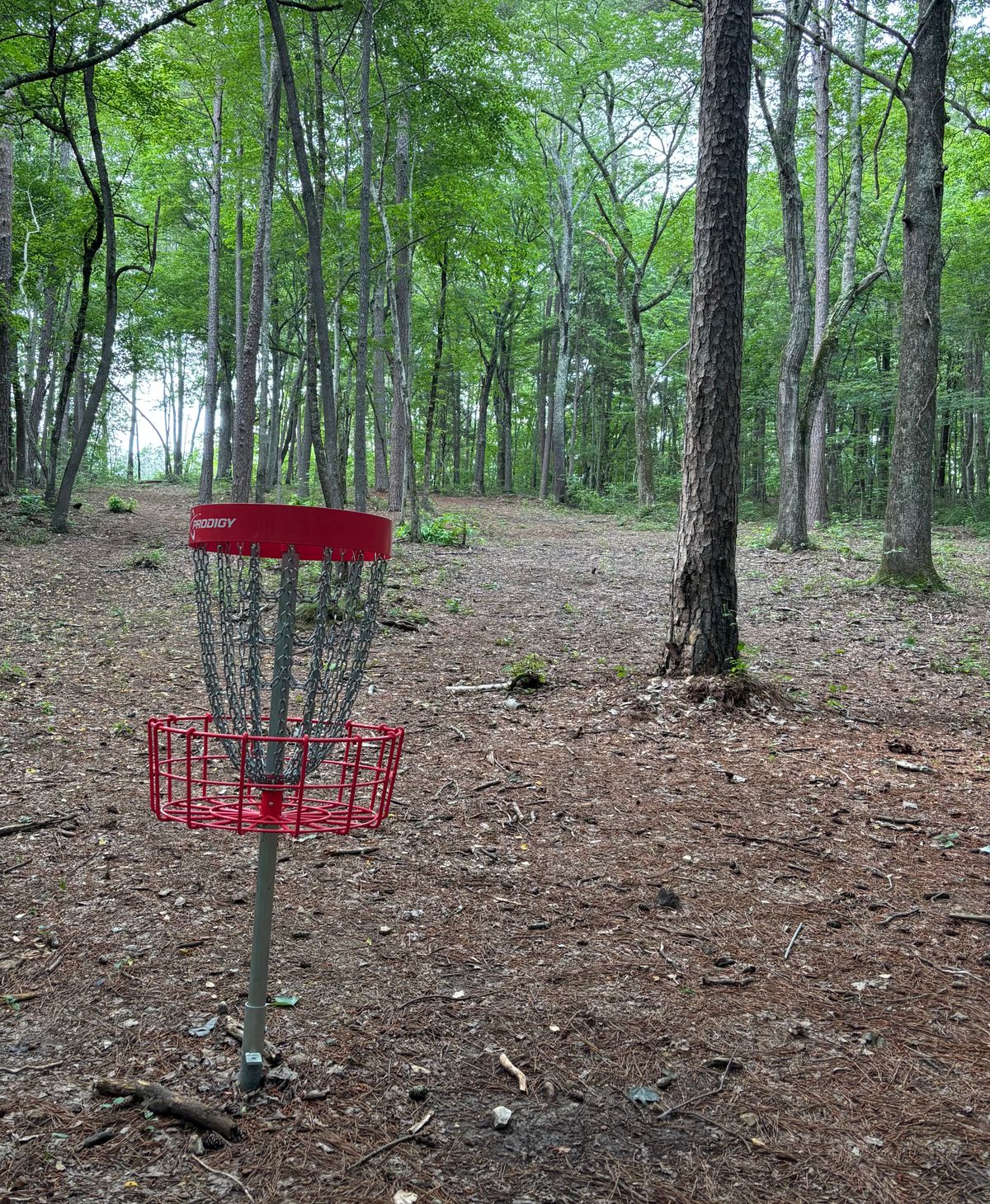 Hole #10 Basket to Tee