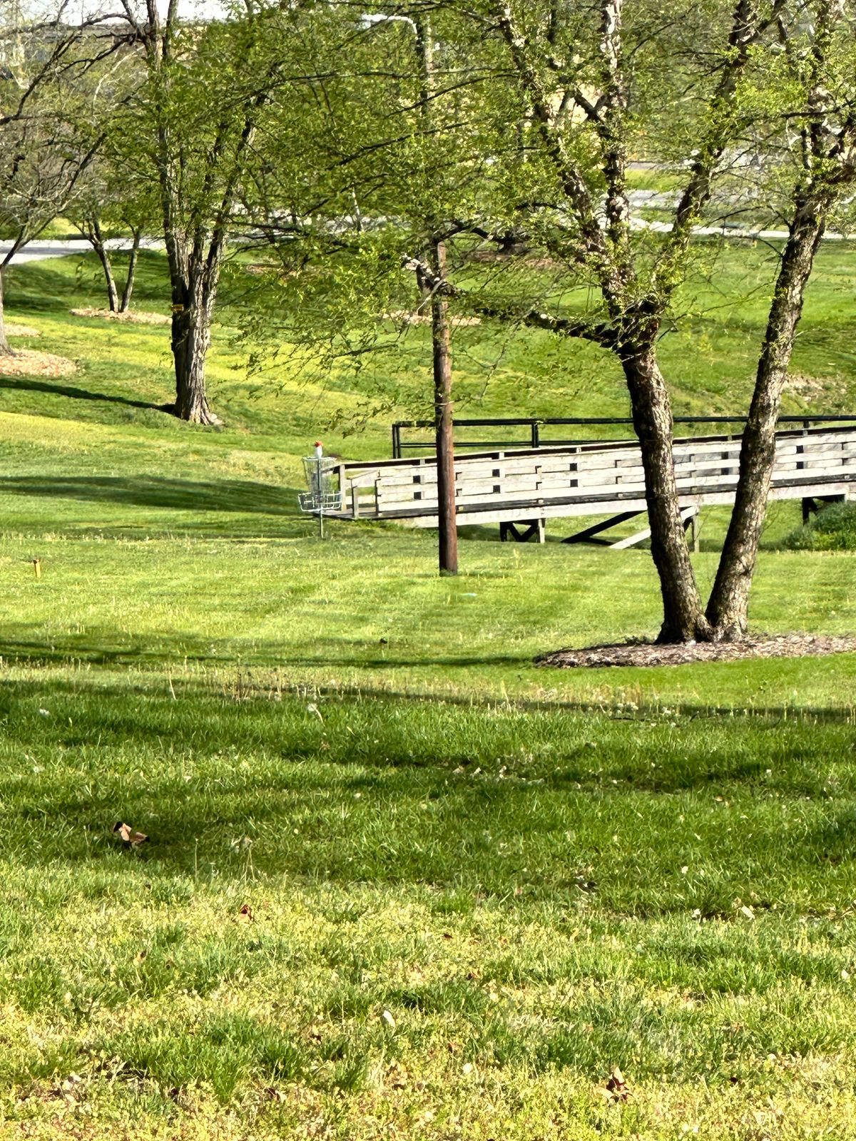 Hole 8 basket