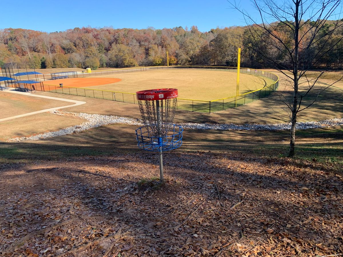 Hole 9 - steep slope behind basket