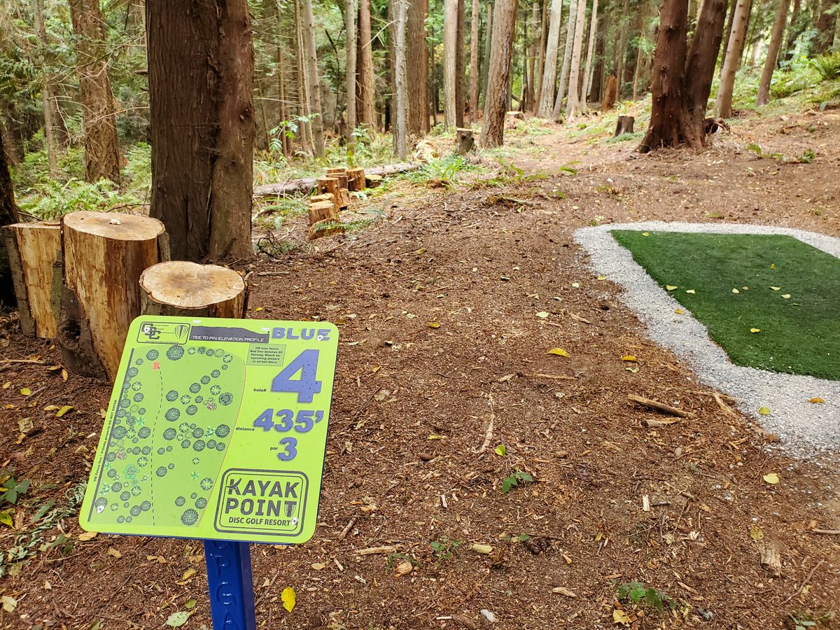Hole 4 tee