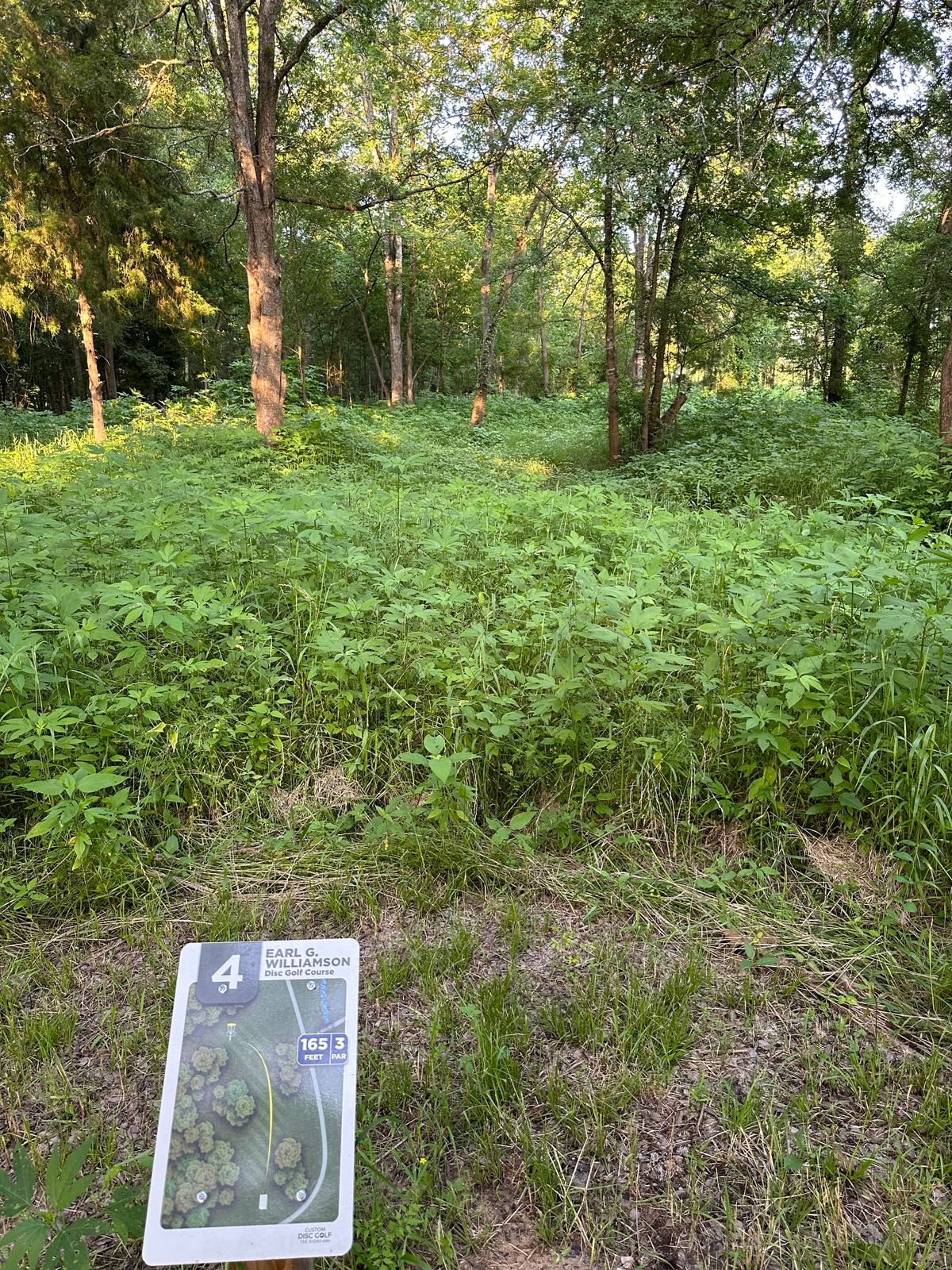 Overgrown hole 4