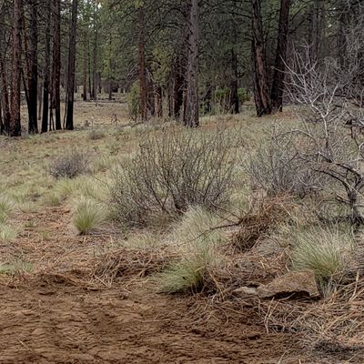 This is the view from the tee pad of hole 6.
