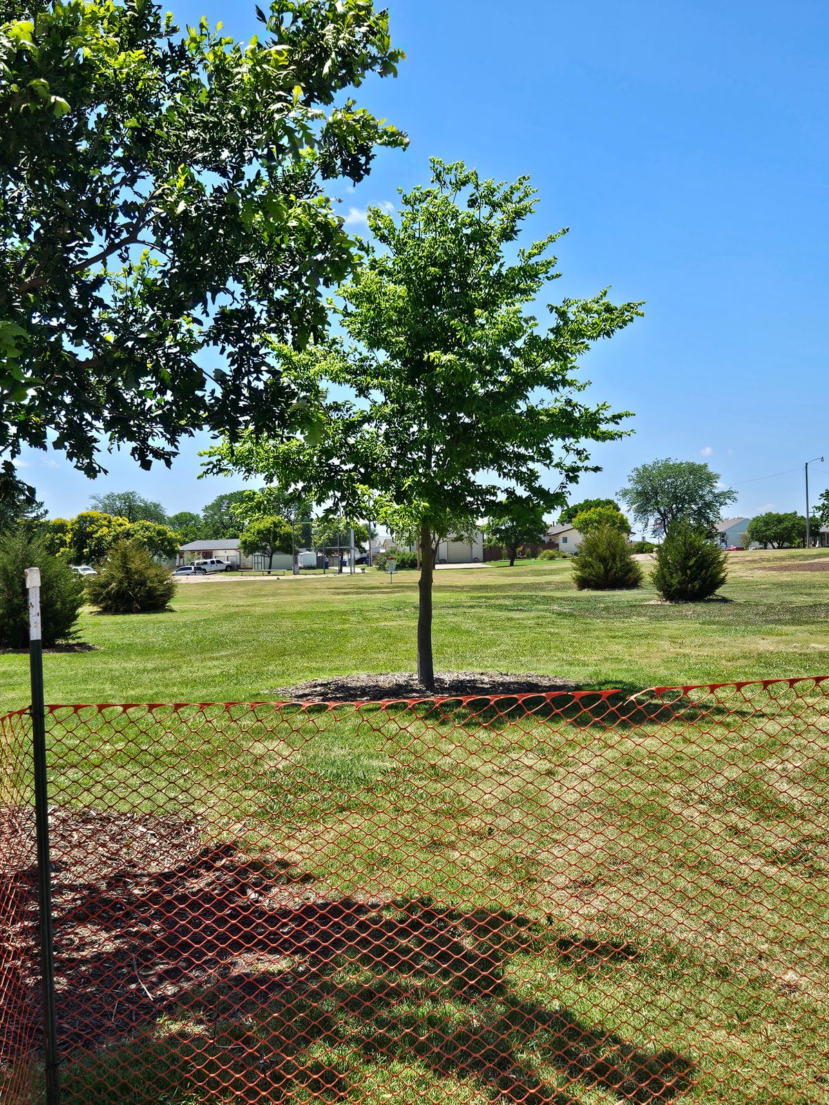Hole 7 - Tee
