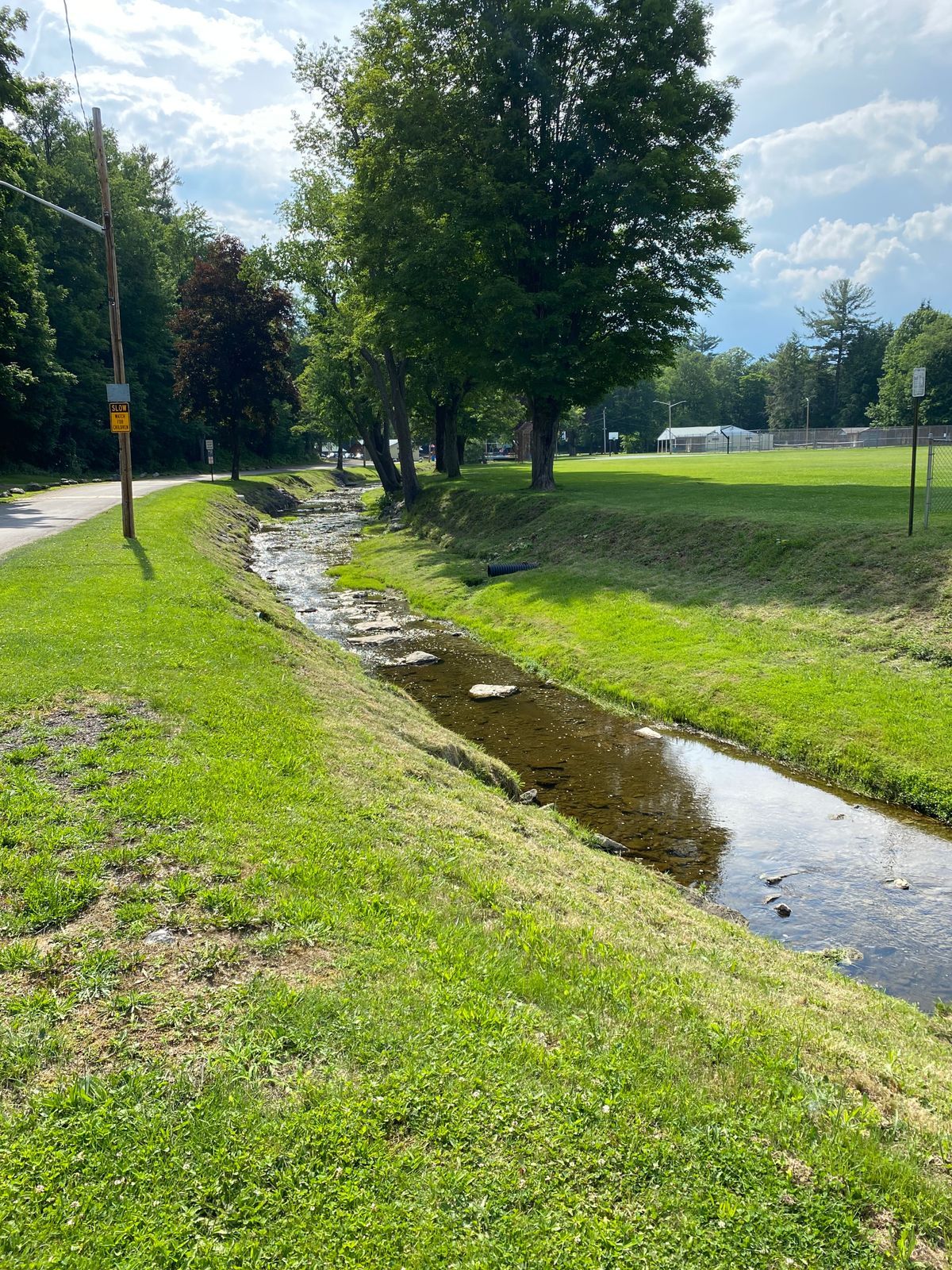 Hole 5 tee