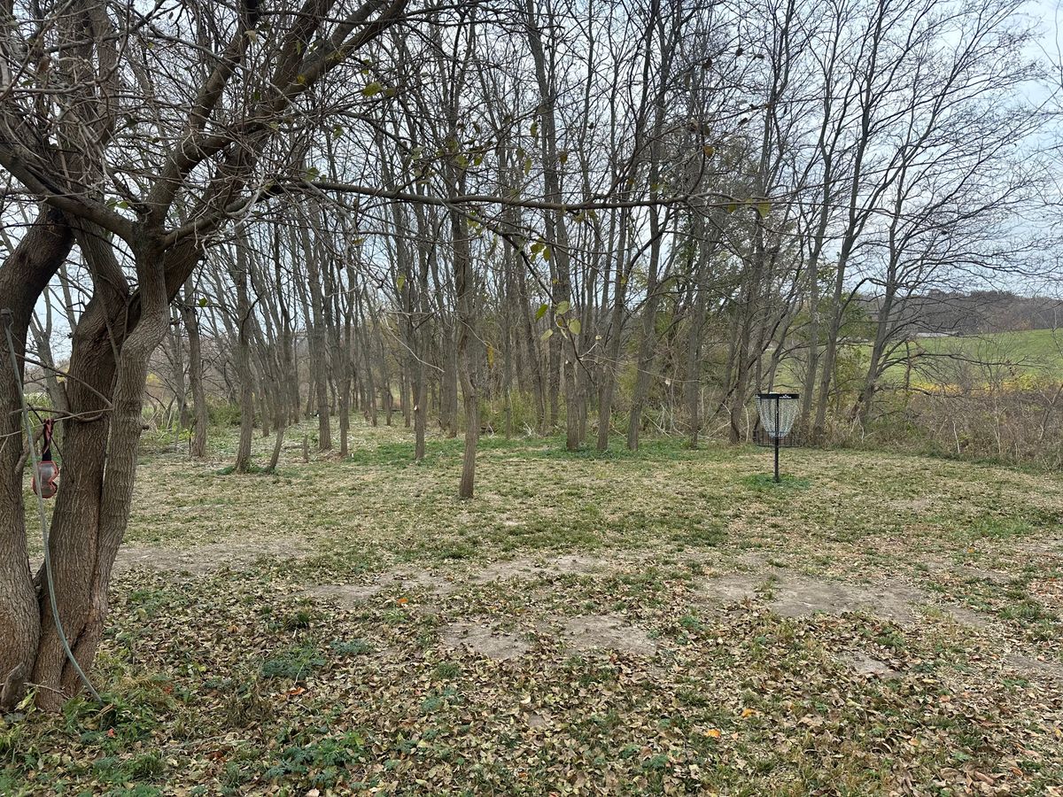 Hole 3 green