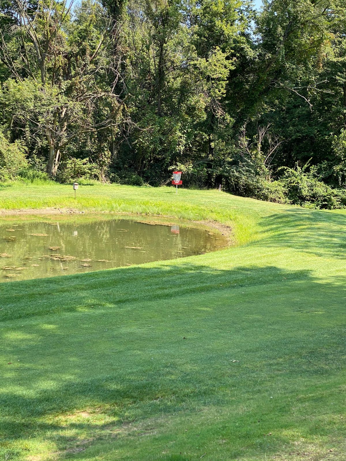Pin on hole 8