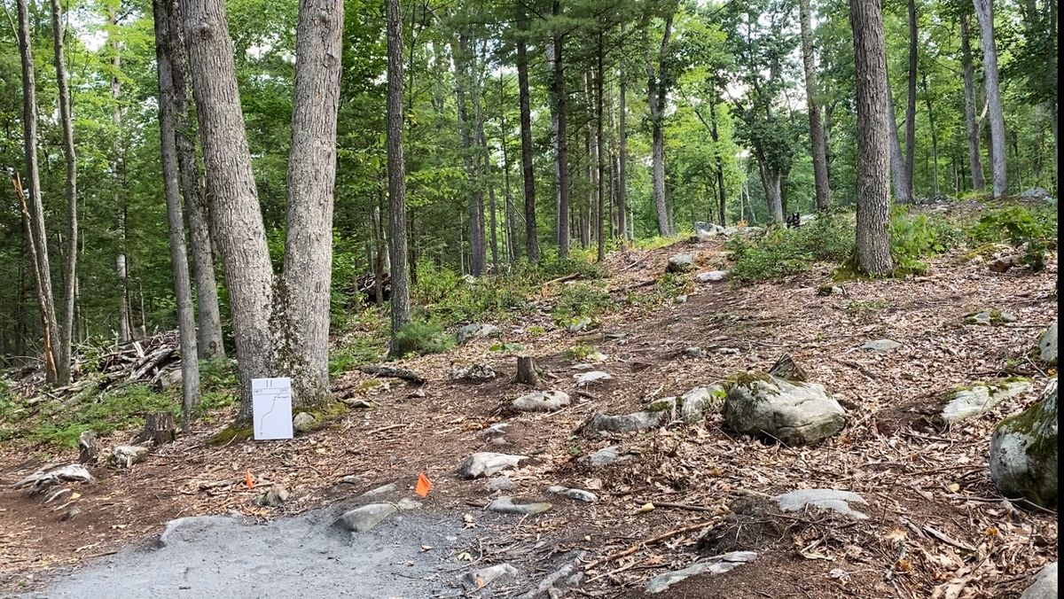 Tee pad 11 (short)