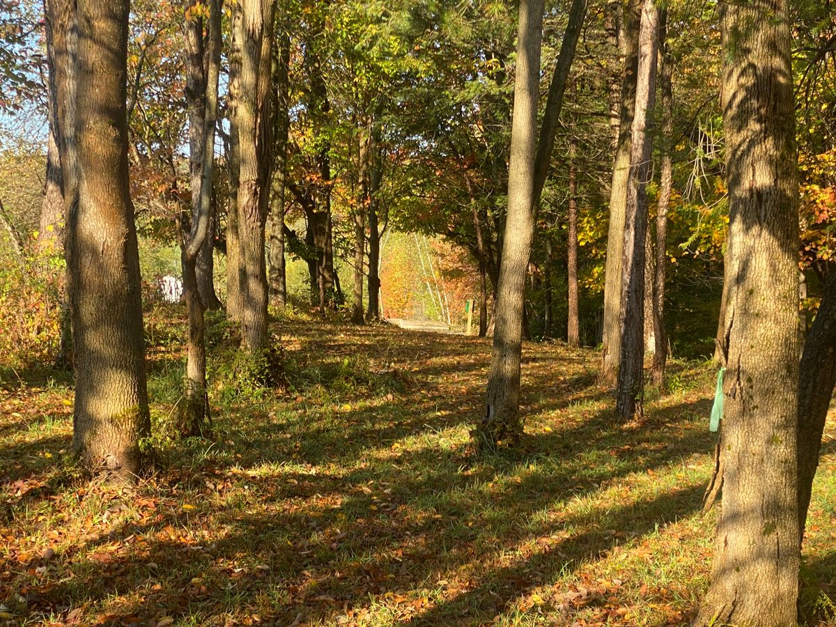 Hole 2 2025 fall