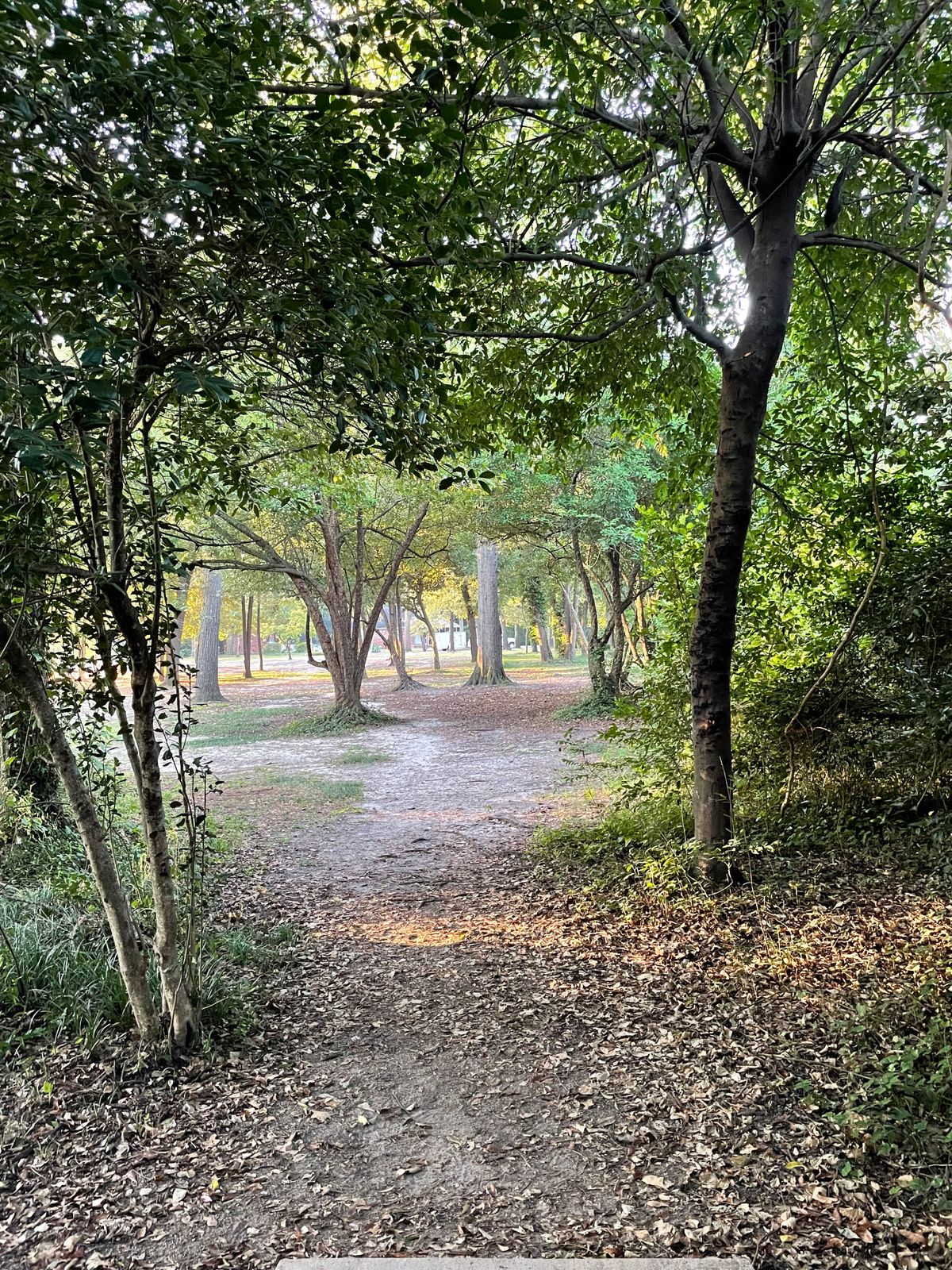 Hole 2. My line involved at least one tree.