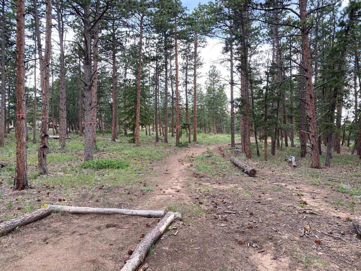 Hole 1