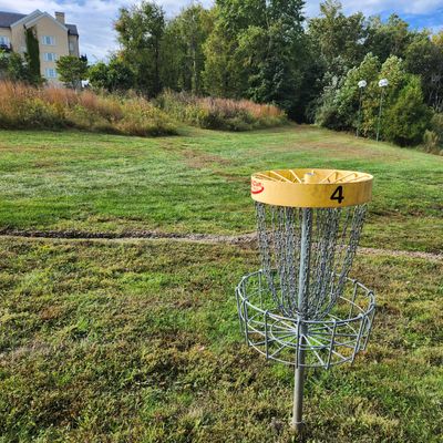 Tee pad past the bushes