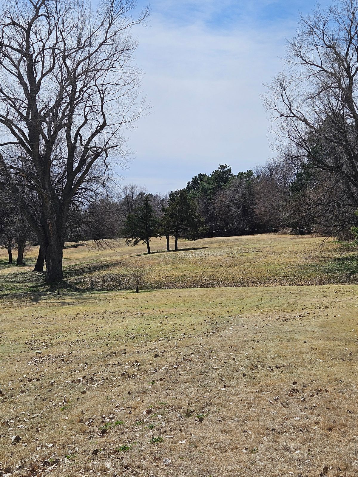 #14 fairway