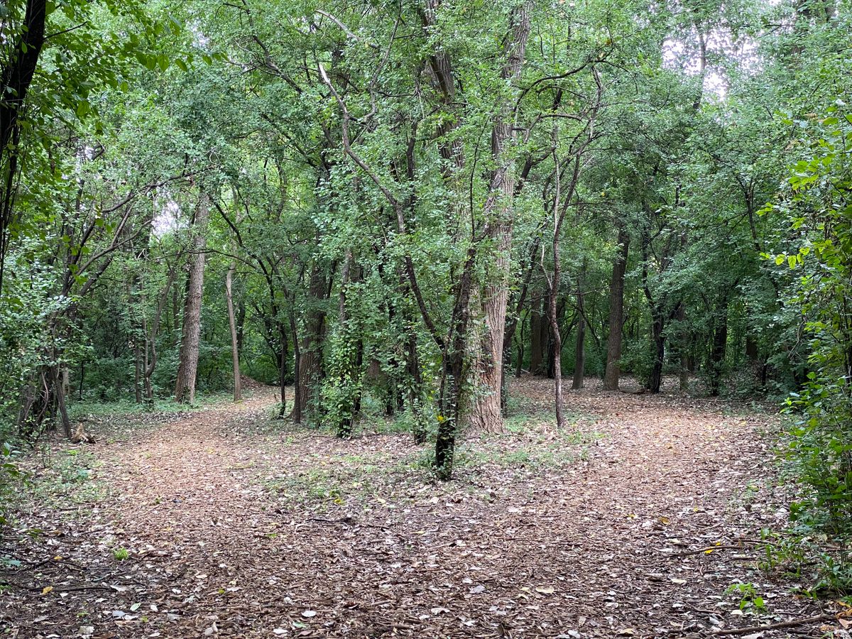 Hole 17 Fairway