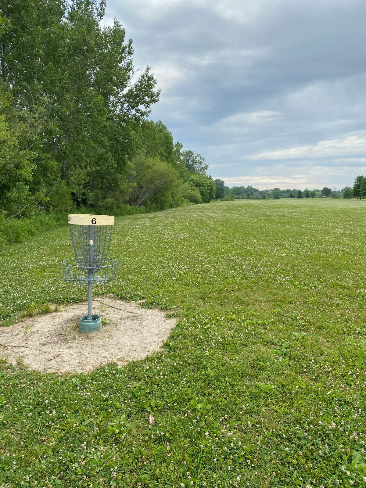 Hole 6 (Reverse)