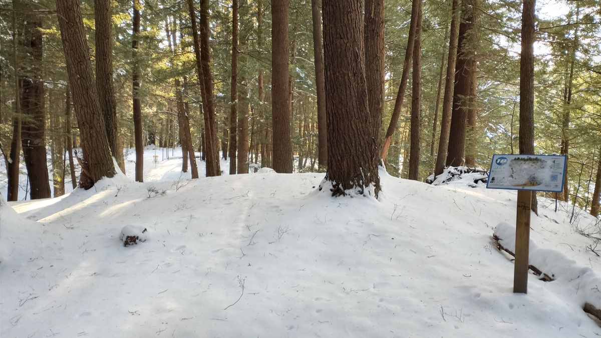 Snowy 18!