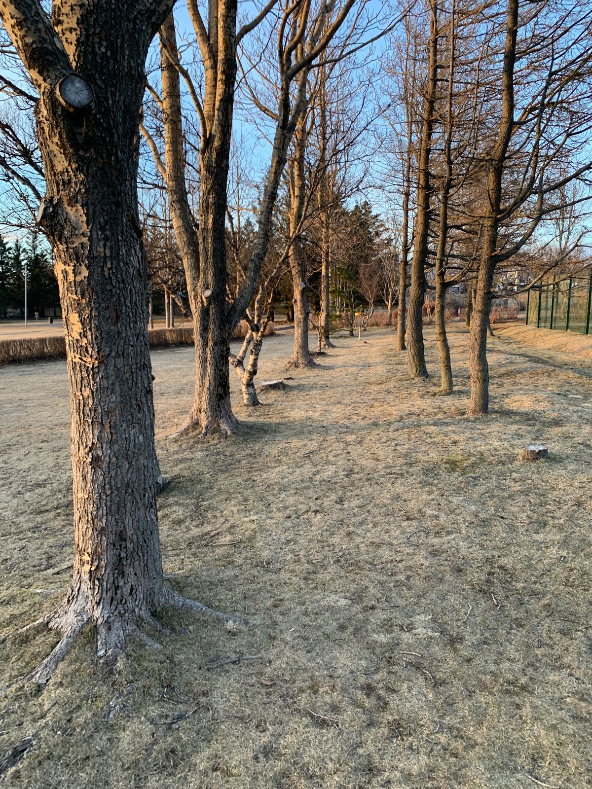 Hole 11 ..the alley 😬