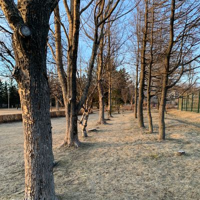 Hole 11 ..the alley 😬