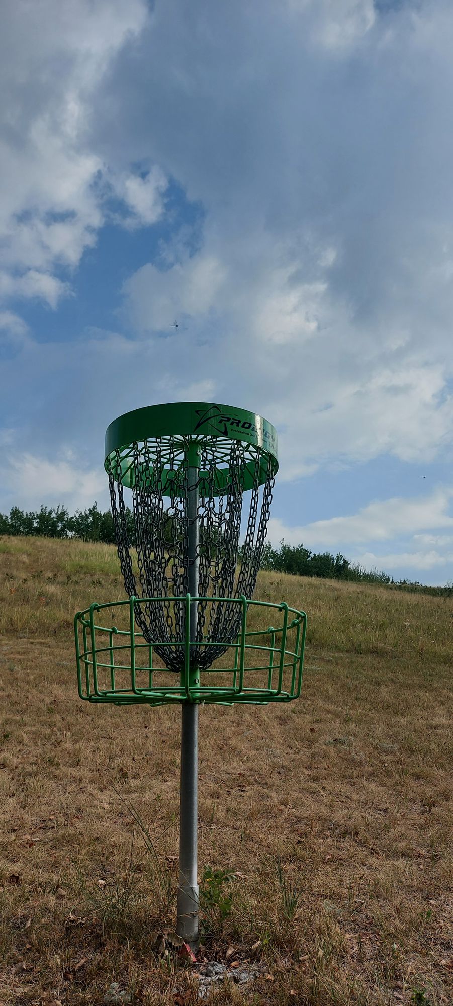 Putting on hole 16.🍃🌱🌿🍃