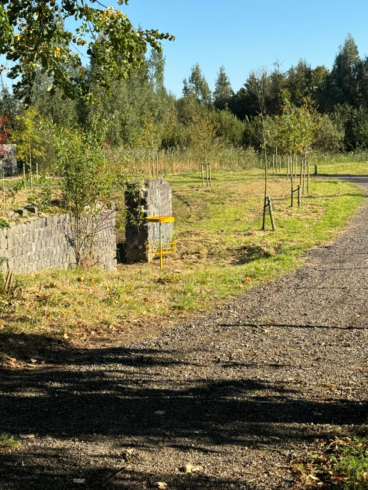 Hole 9 basket