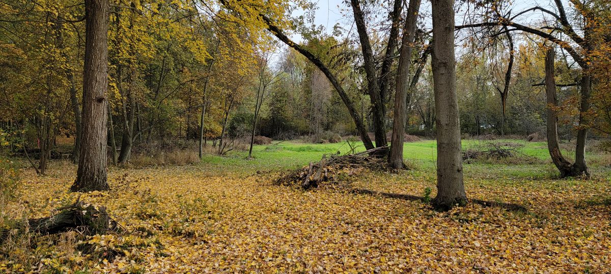 Hole 2