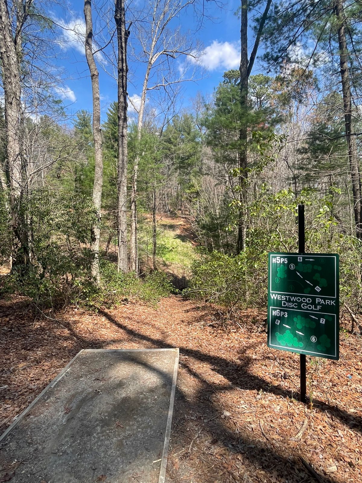 Hole 5 tee pad. Basket is across the valley and straight ahead