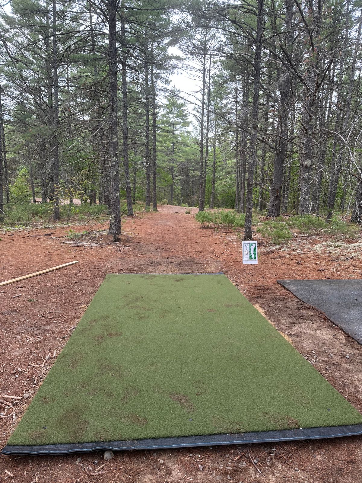 Hole 8 Tee