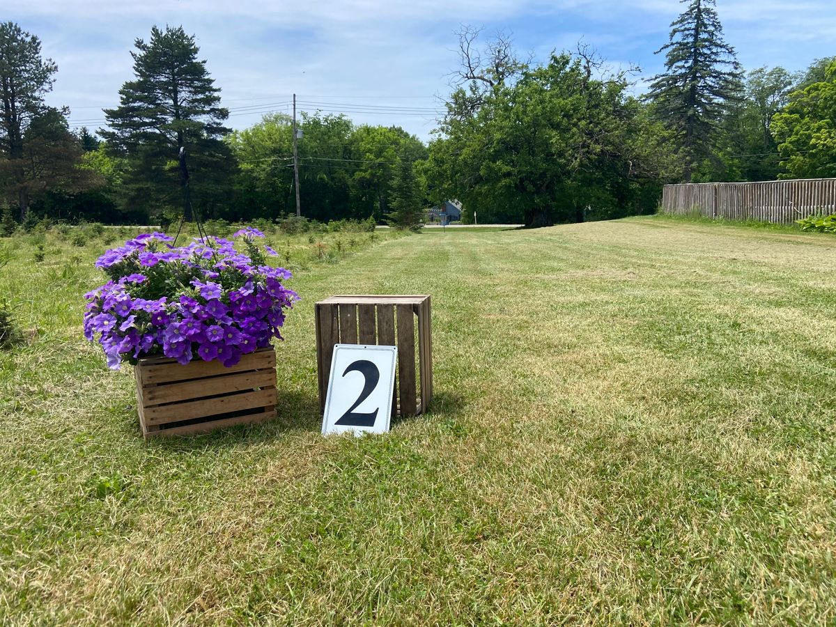 Hole 2